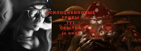 дмт Бугульма