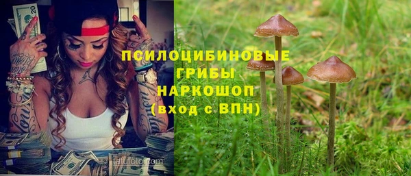 дмт Бугульма
